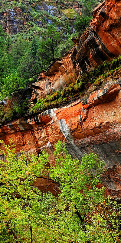 Best Hikes to Do in Zion: A Comprehensive Family Friendly Guide