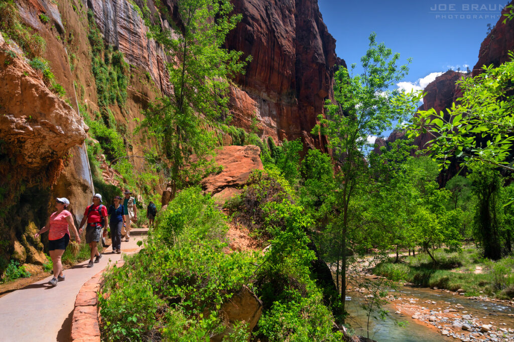 tourists hiking the riverside walk in the beautiful Zion National Park